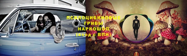 a pvp Абаза